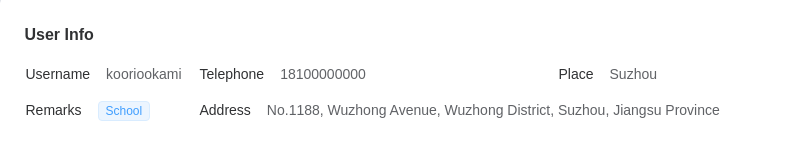 Data 数据展示 - Descriptions 描述列表 - 《Element Plus v2.2 教程》 - 书栈网 · BookStack